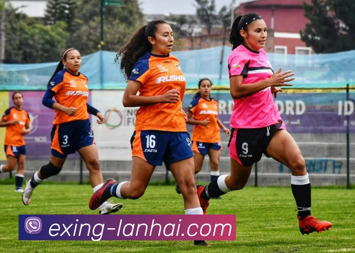 App 示例图